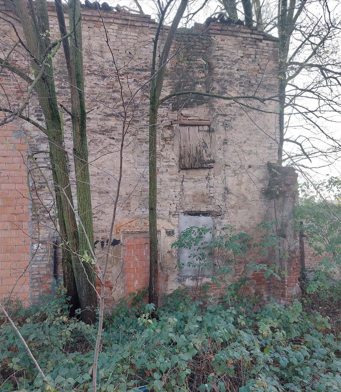 Immagine relativa a EX STALLE DI MARIA LUIGIA – CORNOCCHIO