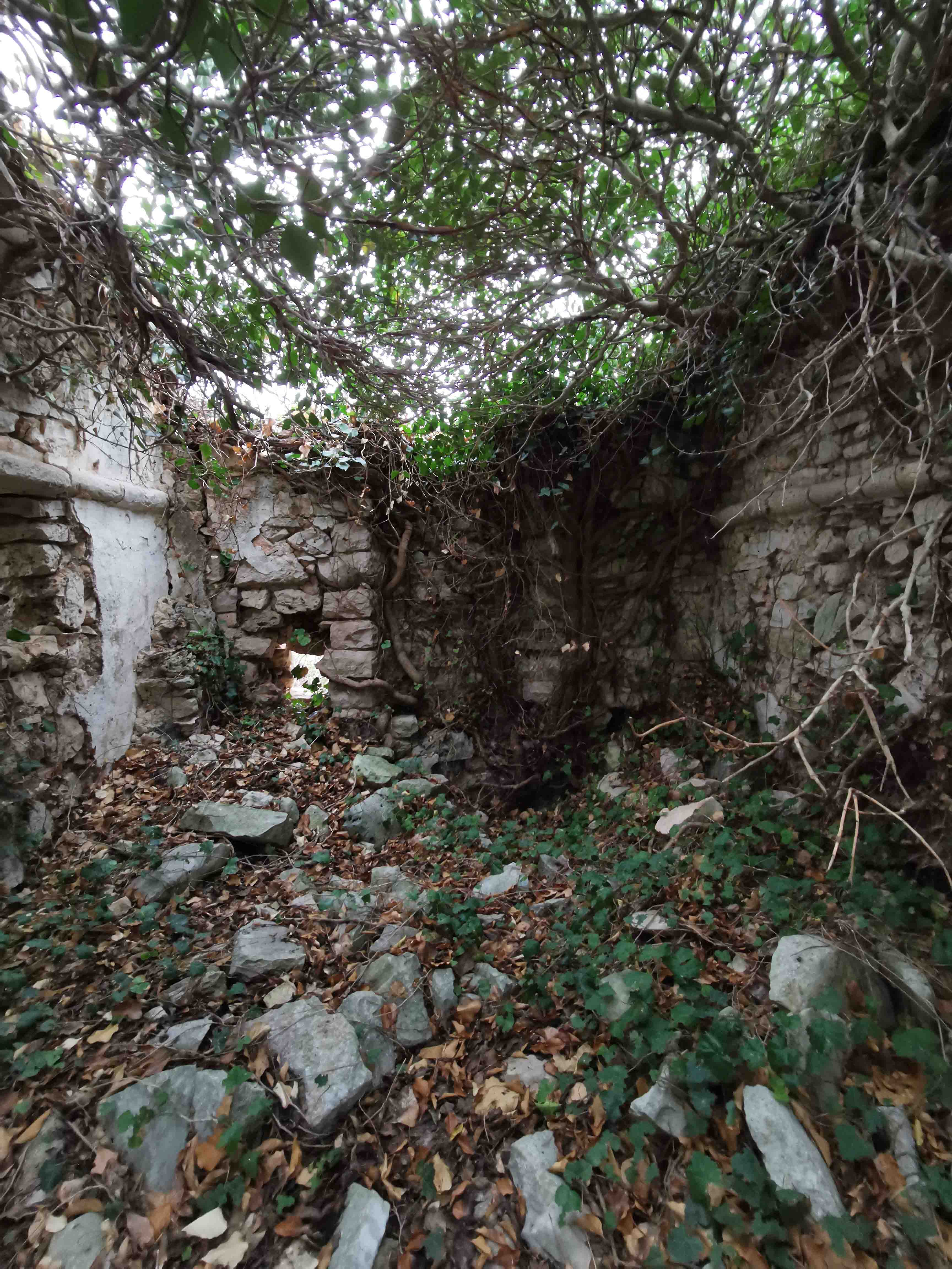 Immagine relativa a Abbazia di Sant’Angelo in Frassineto a Toziano