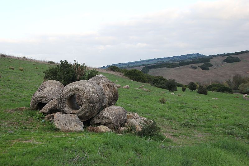 Immagine relativa a Foresta Pietrificata