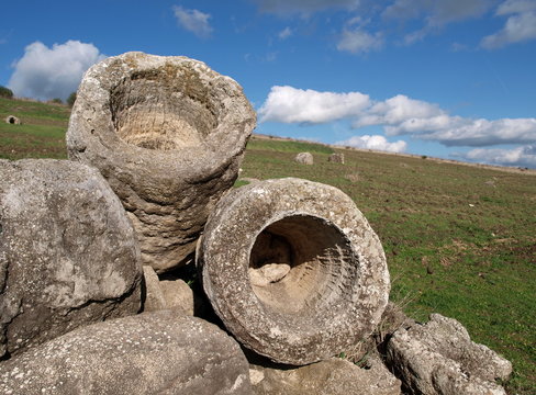 Immagine relativa a Foresta Pietrificata